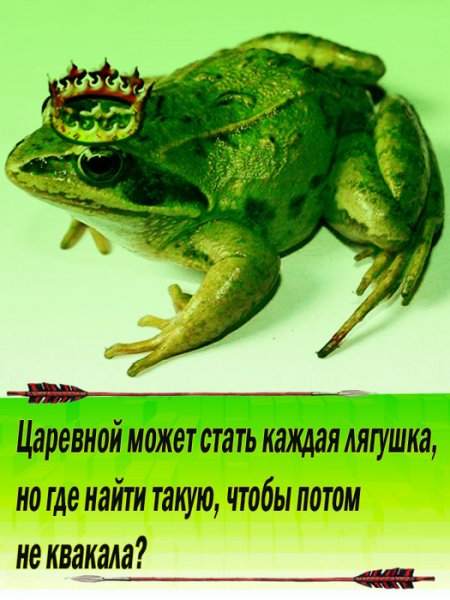 Шутки про лягушек