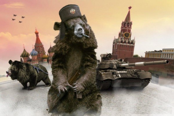 Медведь в шапке ушанке