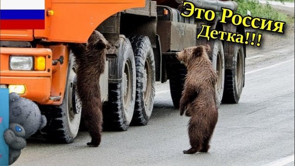Русские приколы это Россия детка