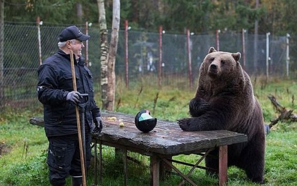 Суло Карьялайнен