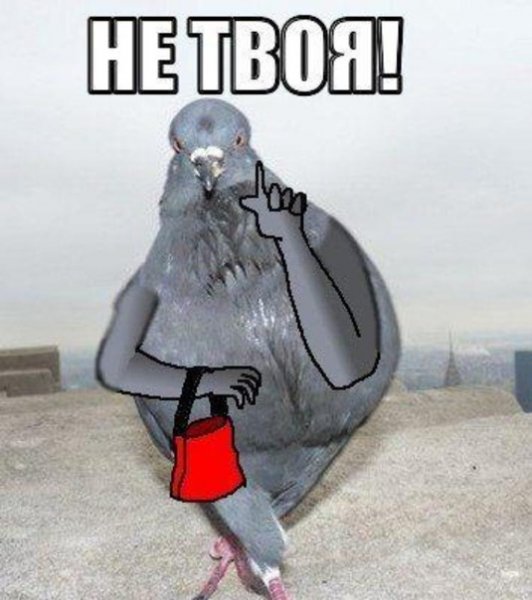 Аня голубь Сус