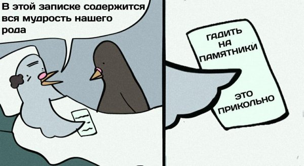 Шутки про голубей