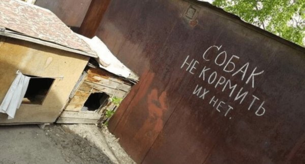 Юмористические надписи