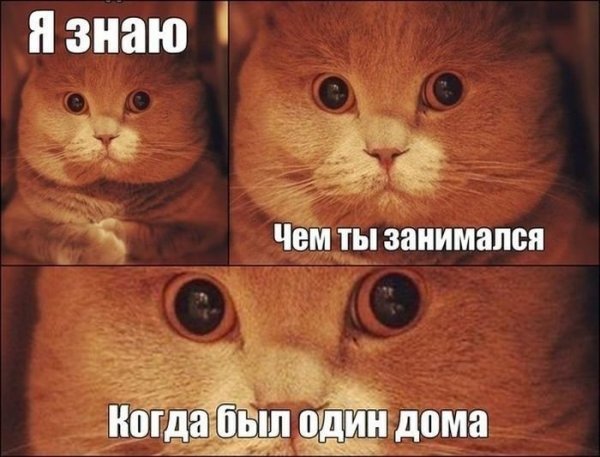 Приколы со словами