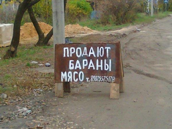 Смешные надписи