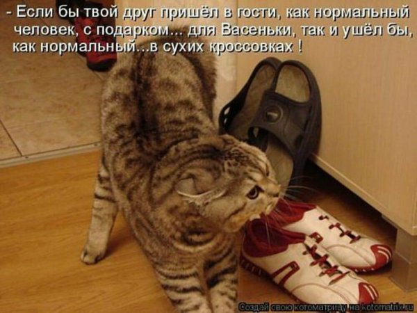 Смешные картинки с надписями