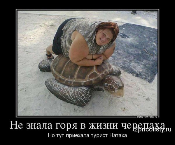 Лучшие демотиваторы