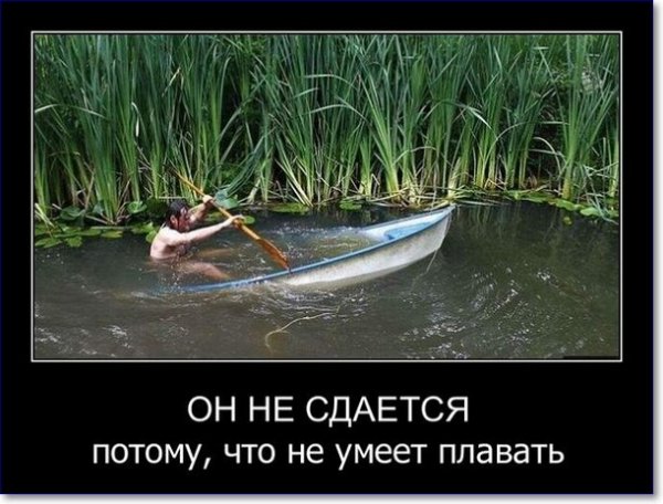 Смешные демотиваторы до слез