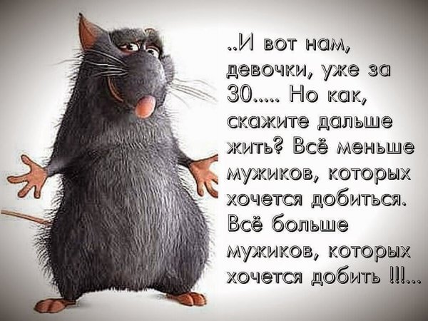 Статусы прикольные ржачные