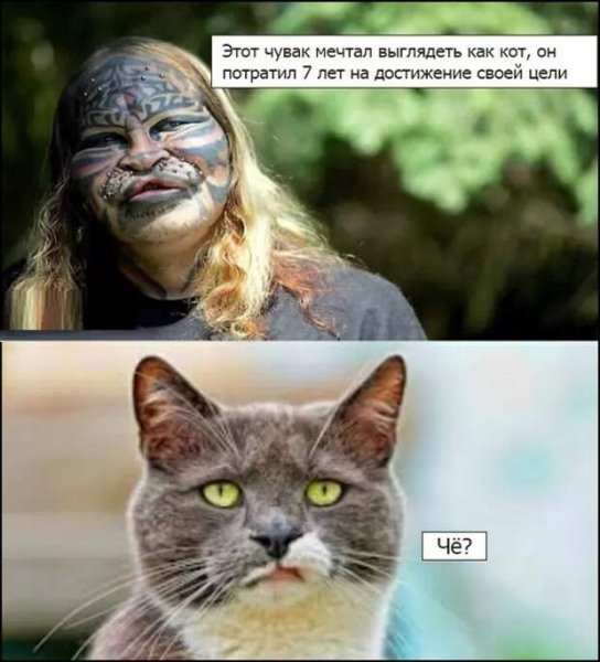 Смешные картинки с подписями