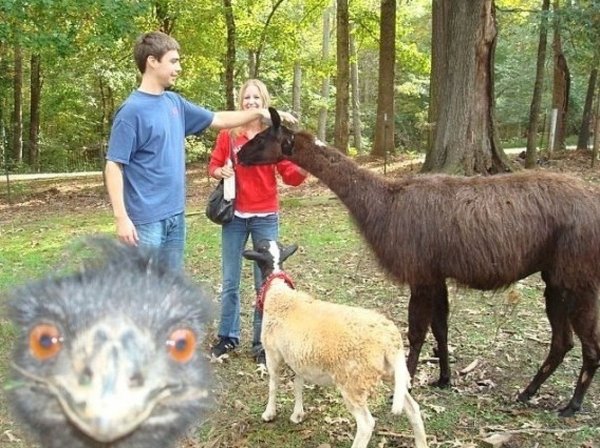 Смешные приколы с подписями