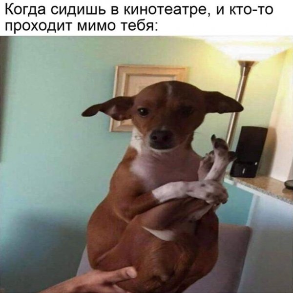 Приколы с подписью для настроения