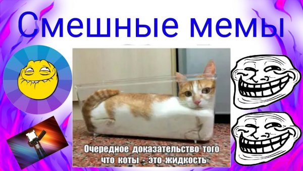 Смешные мемы