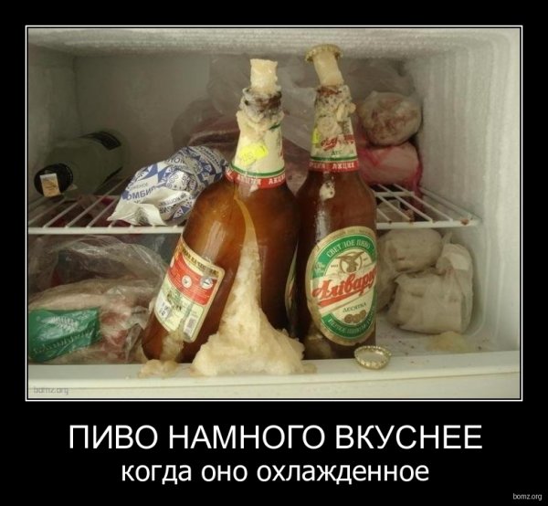 Самая большая бутылка пива