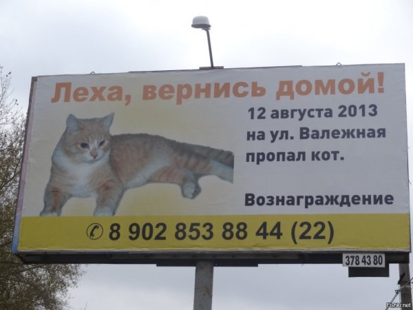 Леха прикол