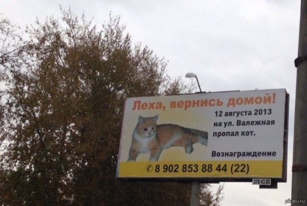 Смешные высказывания про Леху