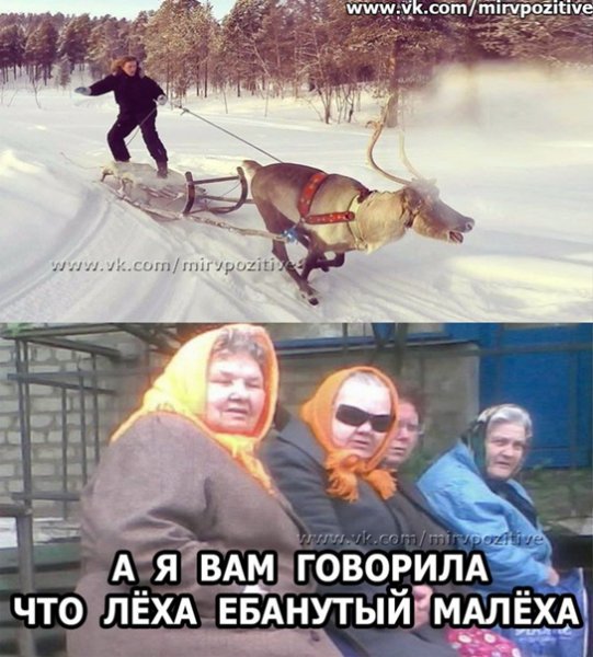 Друг Леха малёха