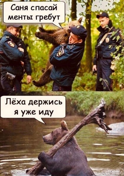Леха прикол