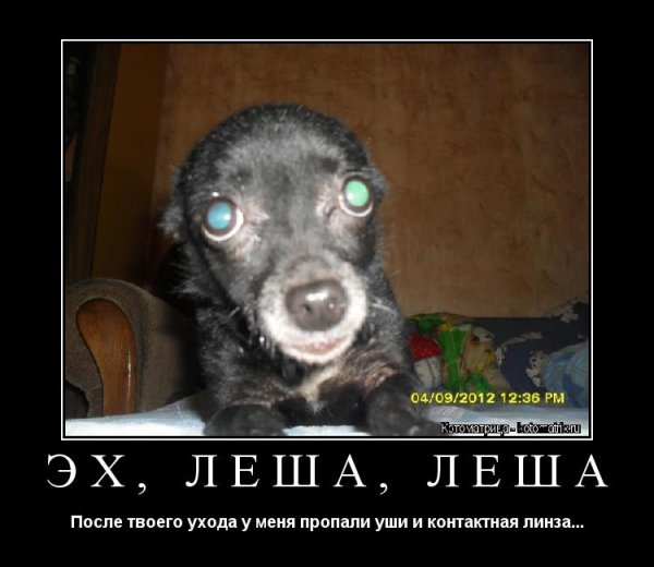 Стихи про Лешу прикольные