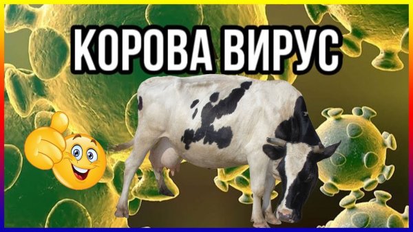 Мемы про коронавирус
