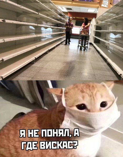 Приколы про коронавирус