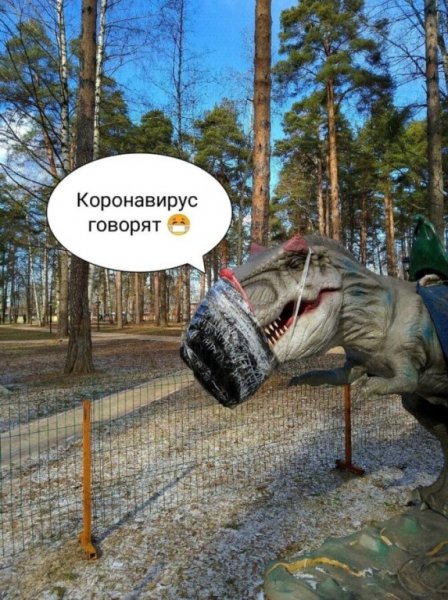 Приколы про коронавирус