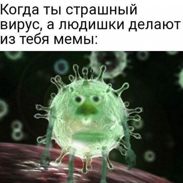 Приколы про коронавирус