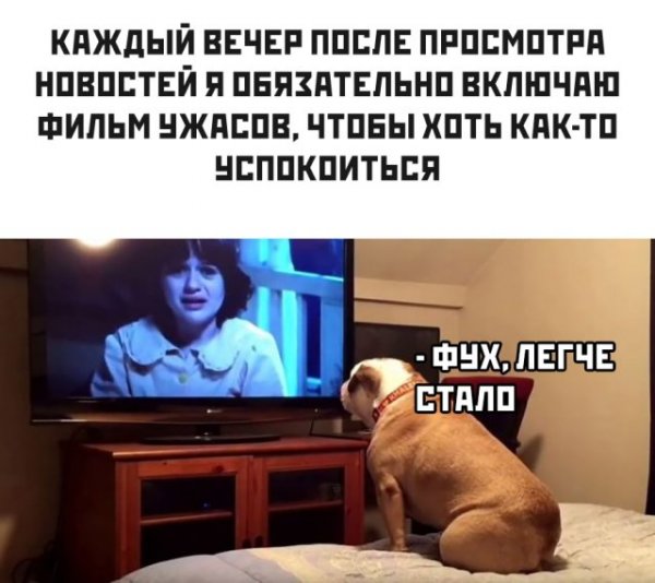 Новости в картинках приколы