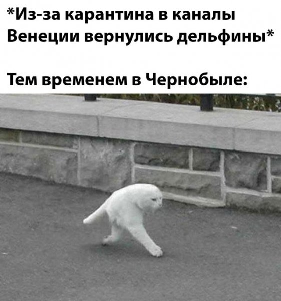 Смешные мемы коронавирус 2020