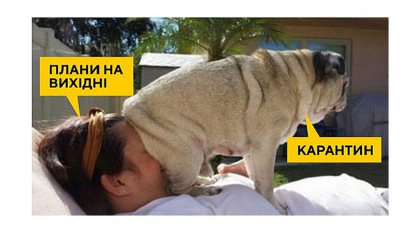 Коронавирус юмор