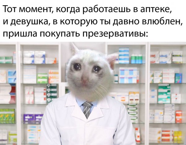 Кот в аптеке