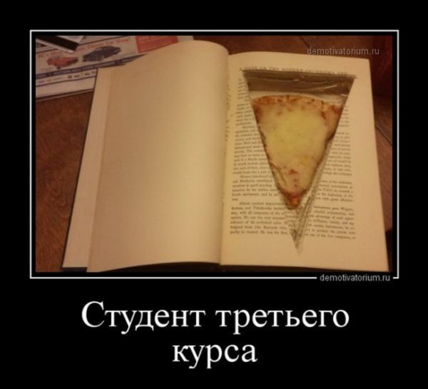 Приколы про студентов