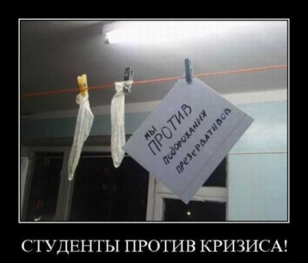 Приколы про студентов