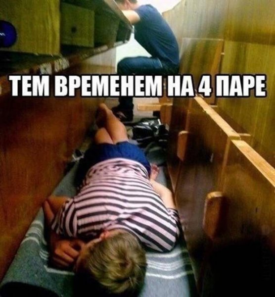 Смешные картинки про колледж