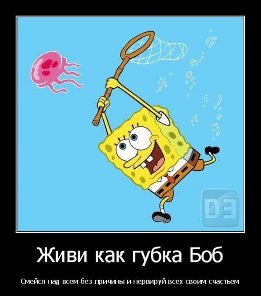 Губка Боб приколы