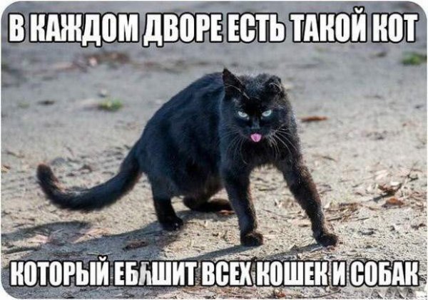 Приколы с матами картинки