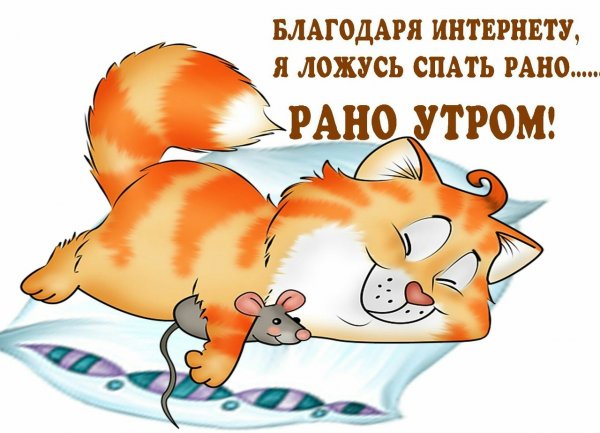 Прикольные пожелания спокойной ночи