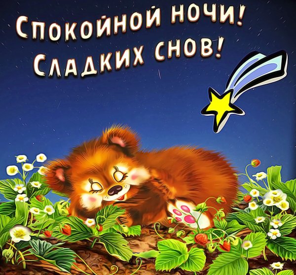 Открытки спокойной ночи прикольные