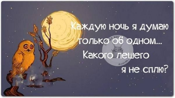 Красивые фразы про сон