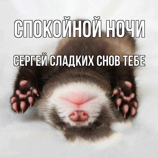 Спокойной ночи доченька