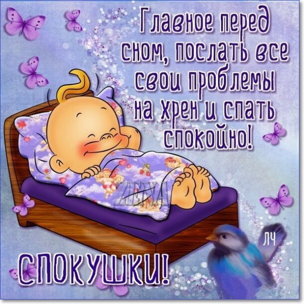 Прикольные пожелания спокойной ночи