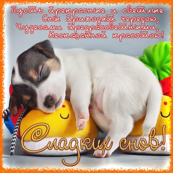 Спокойной ночи собаки с пожеланиями