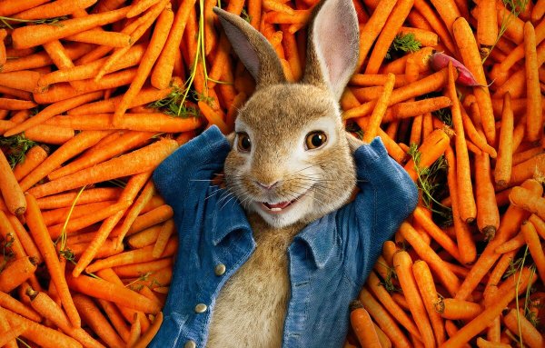 Кролик Питер (2018) Peter Rabbit