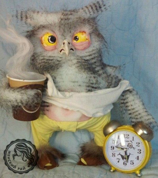 Сонное утро