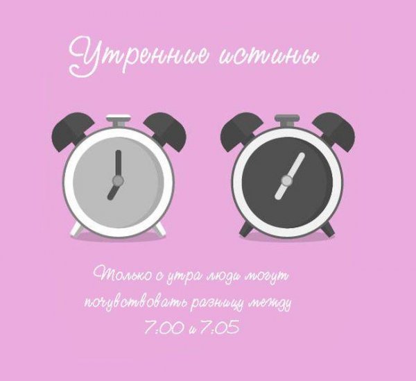 Цитаты про утро смешные