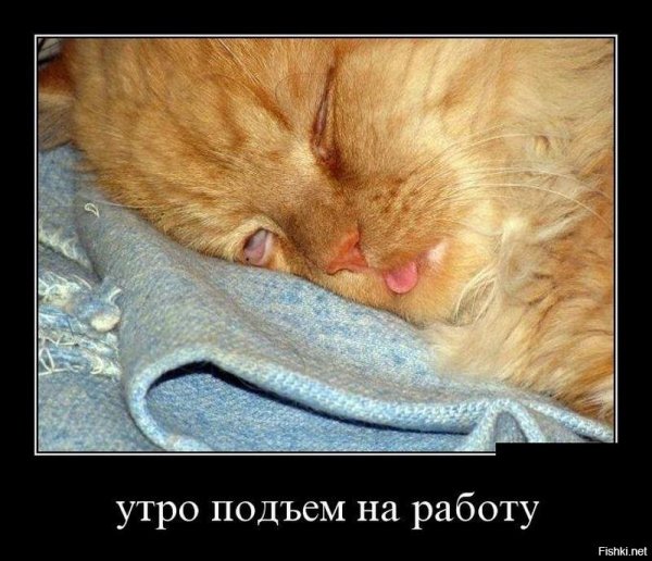 Через силу через боль просыпаюсь в 7 00