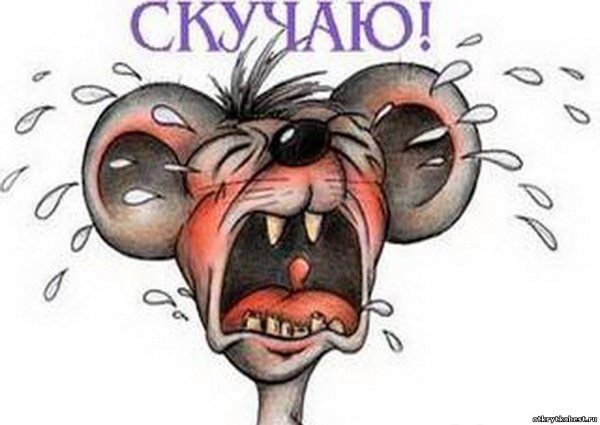Скучаю картинки прикольные