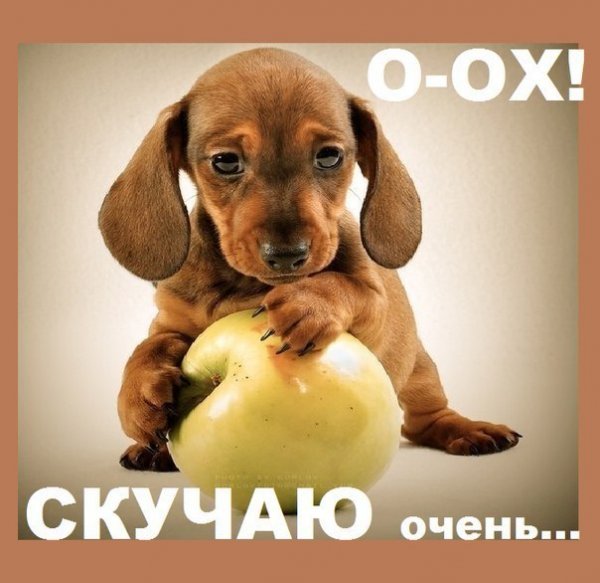 Скучаю очень