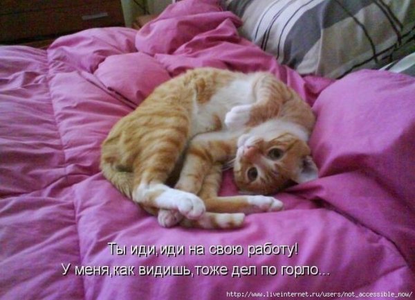 Скучаю картинки прикольные