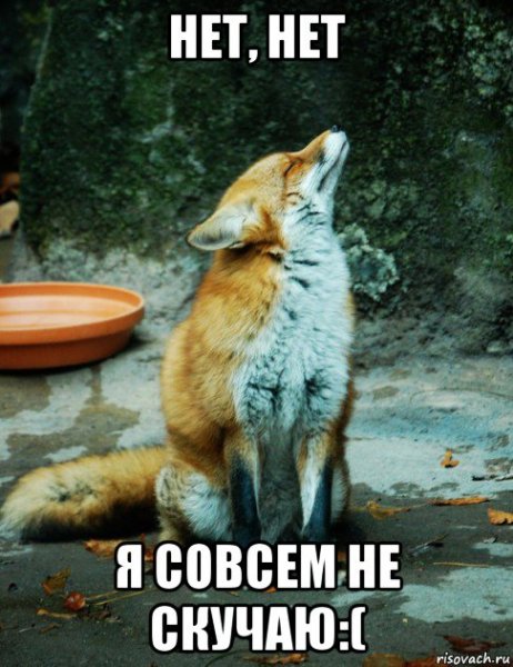 Скучаю Мем